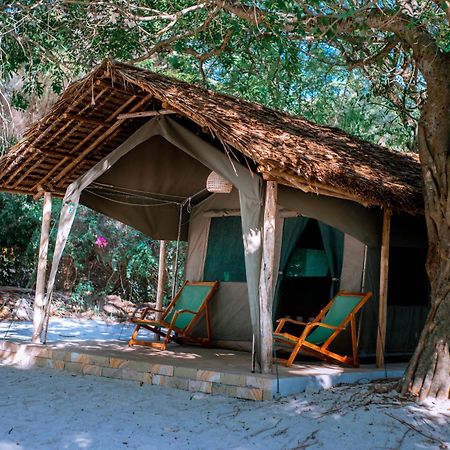 Mikadi Beach Camp & Backpackers Hostel Dár Al-Szalám Kültér fotó