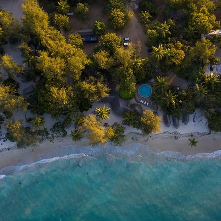 Mikadi Beach Camp & Backpackers Hostel Dár Al-Szalám Kültér fotó