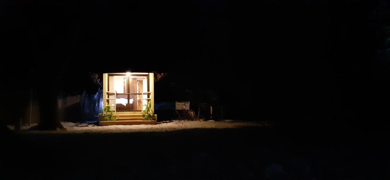 Mikadi Beach Camp & Backpackers Hostel Dár Al-Szalám Kültér fotó