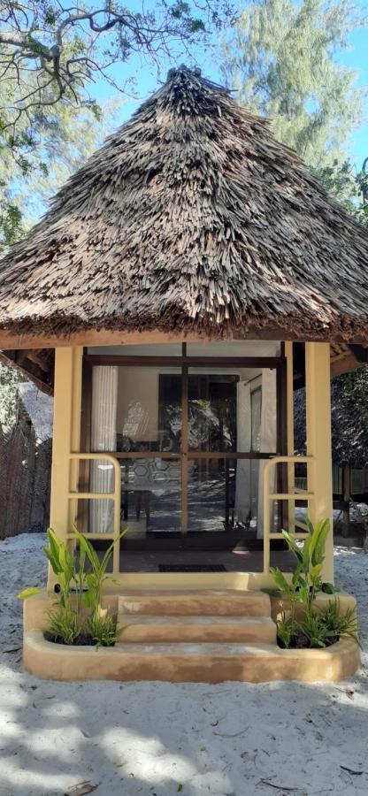 Mikadi Beach Camp & Backpackers Hostel Dár Al-Szalám Kültér fotó