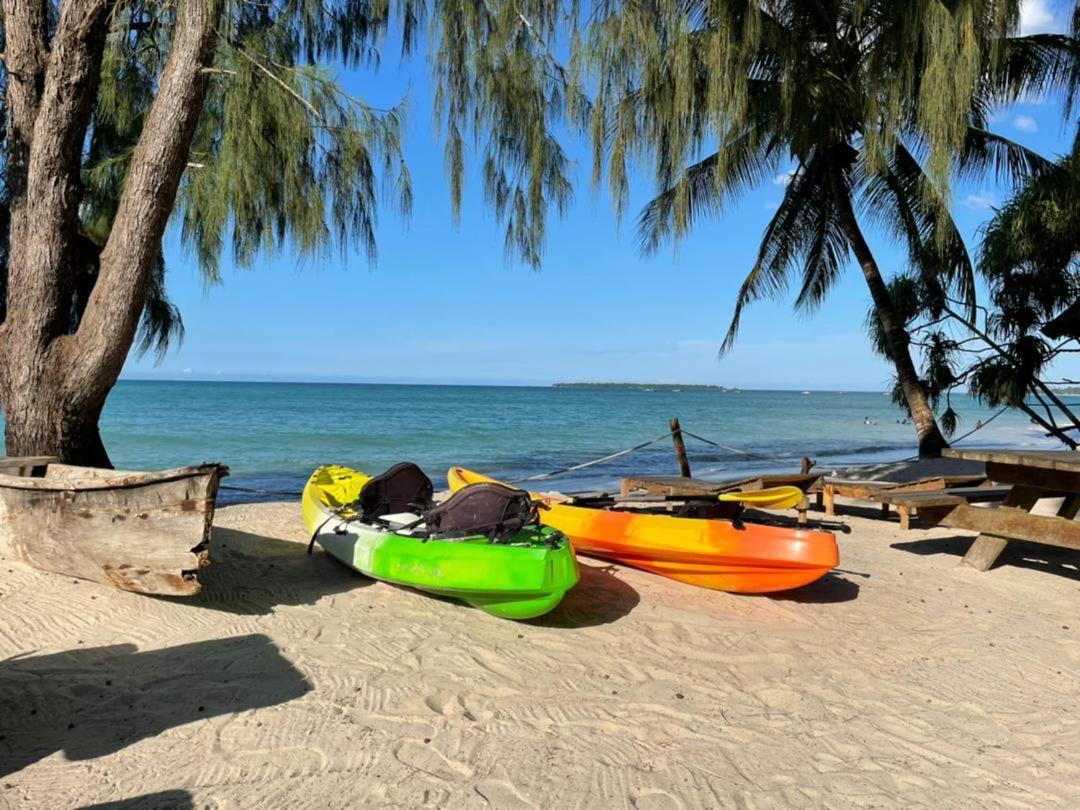 Mikadi Beach Camp & Backpackers Hostel Dár Al-Szalám Kültér fotó