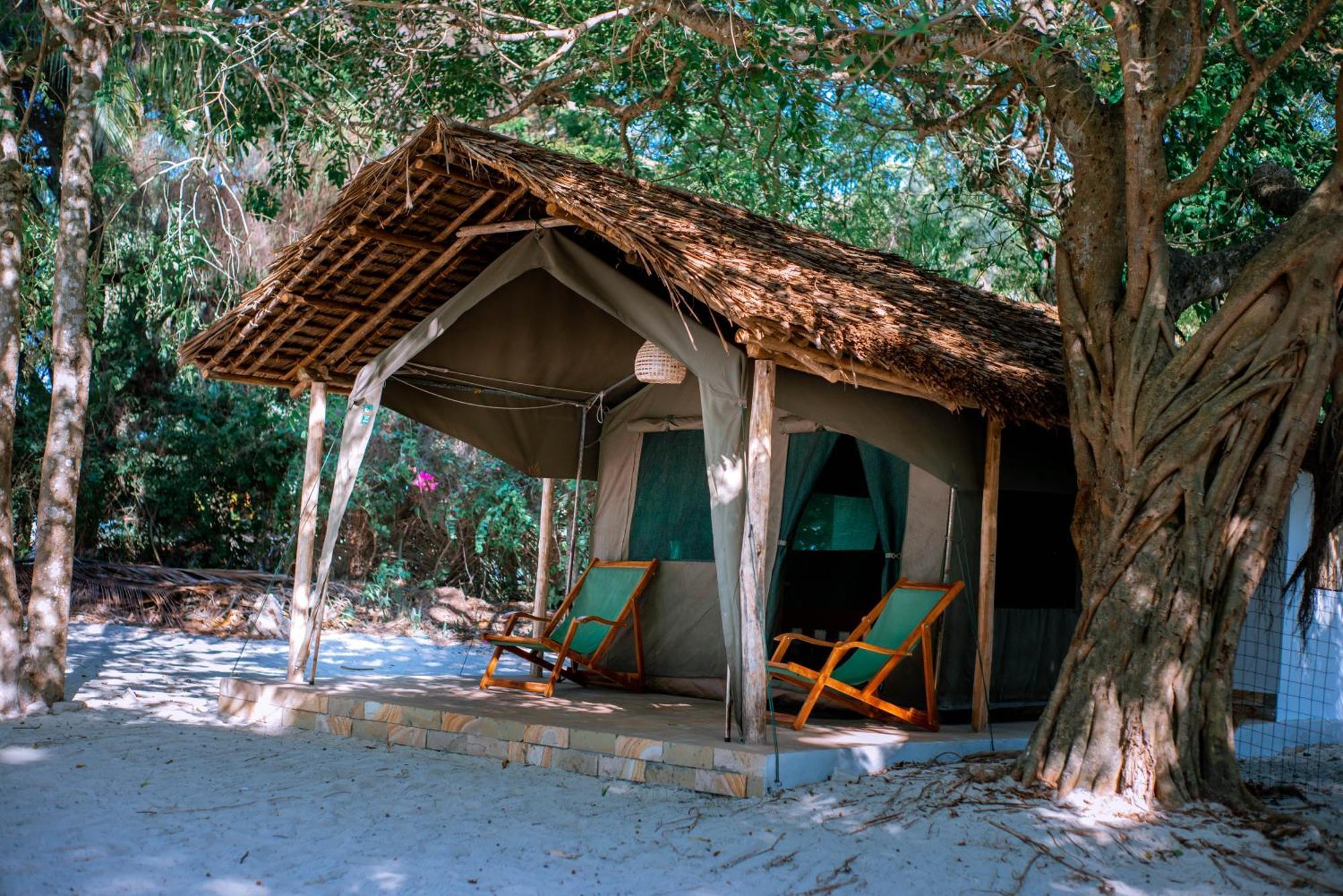 Mikadi Beach Camp & Backpackers Hostel Dár Al-Szalám Kültér fotó