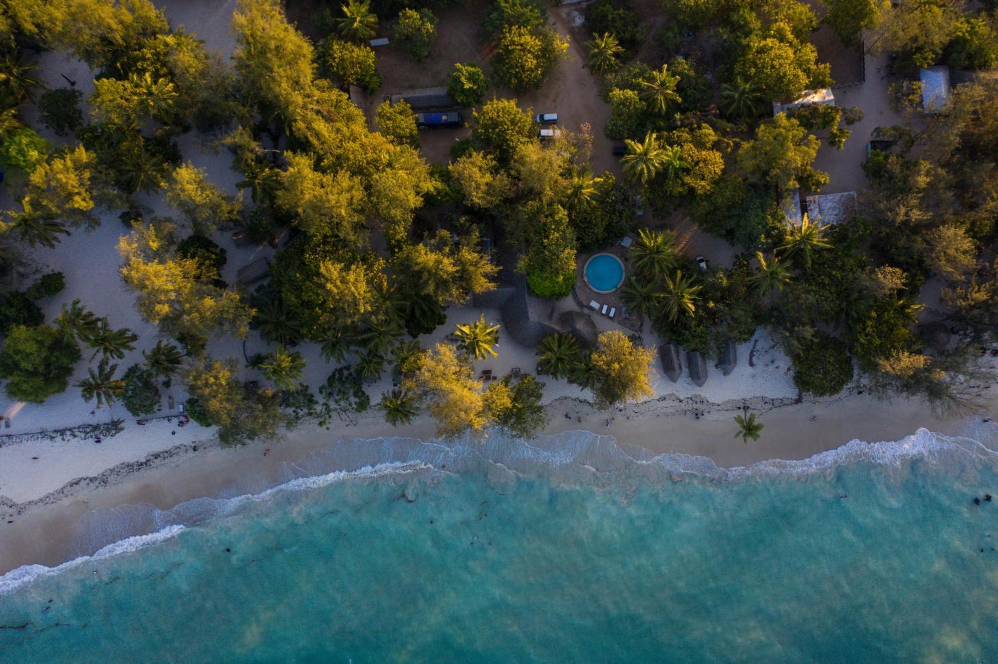 Mikadi Beach Camp & Backpackers Hostel Dár Al-Szalám Kültér fotó