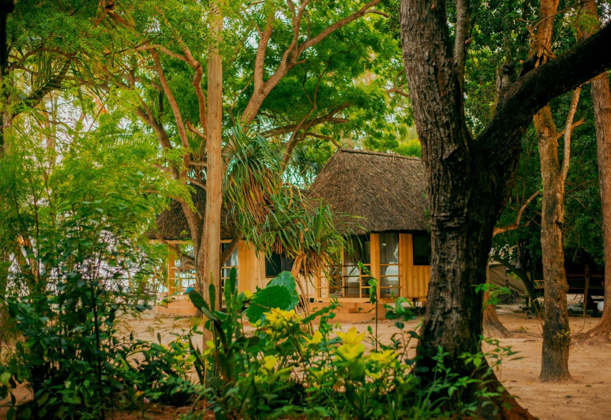 Mikadi Beach Camp & Backpackers Hostel Dár Al-Szalám Kültér fotó